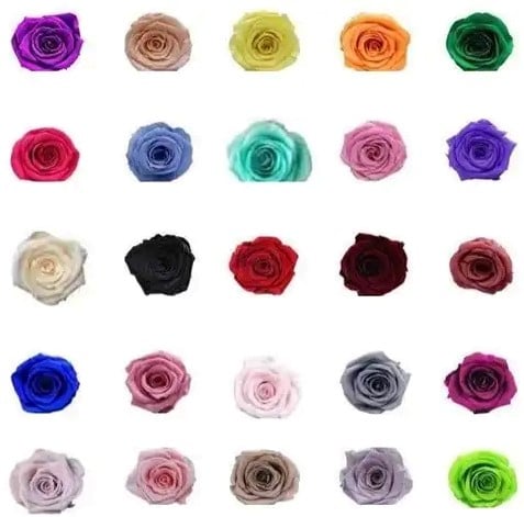 [A-017444] Geconserveerde rozen Geprepareerd Royal Blauw doos 8 stuks
